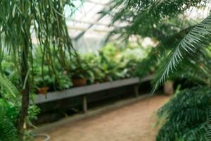 teilweise verschwommen Innere von ein groß tropisch Gewächshaus mit Palme Baum Blätter auf ein Vordergrund foto