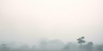 ai generiert nebelig Morgen im das Kiefer Wald, minimalistisch Hintergrund mit Copyspace foto