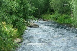 schnell Berg Fluss zwischen bewaldet Banken foto