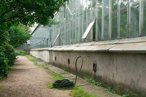 Gummi Bewässerung Schlauch in der Nähe von das Mauer von das Gewächshaus, Gewächshaus Komplex Infrastruktur foto