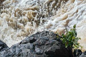 schlammig turbulent Strom unter ein Felsen während hoch Wasser foto