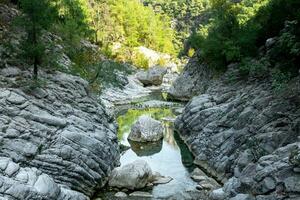 Berg Landschaft mit ein Fluss mit ein felsig Bett foto