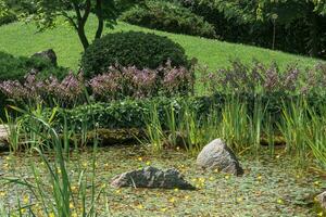 Fragment von ein japanisch Garten mit ein Teich und ein Rasen foto