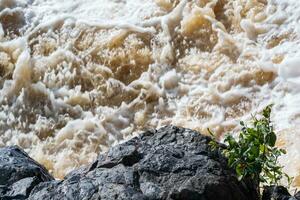 schlammig turbulent Strom unter ein Felsen während hoch Wasser foto