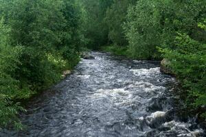 schnell Berg Fluss zwischen bewaldet Banken foto