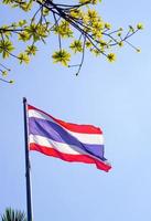 Thailand-Flagge in frischen Blättern und blauem Himmel foto