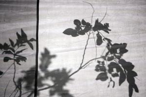 Baumschatten auf weißer Leinwand foto