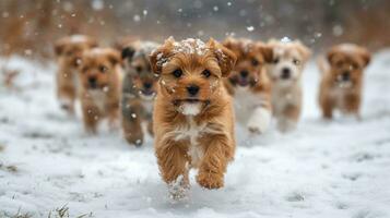 ai generiert viele Welpen spielen im das Schnee foto