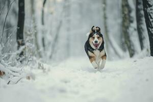 ai generiert glücklich Laufen Hund auf Winter Schnee Wald foto