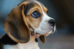 ai generiert Fotografie von ein süß Hund, National Hündchen Tag Konzept foto