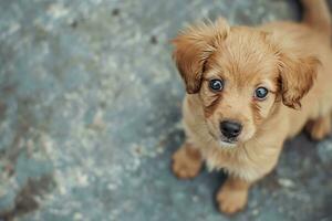 ai generiert Fotografie von ein süß Hund, National Hündchen Tag Konzept foto