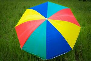 Nahaufnahme bunter Regenschirm in den Reisfeldern platziert foto
