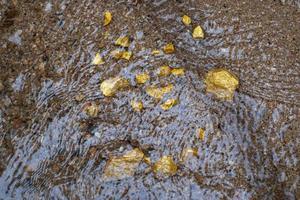 reines Goldnugget-Erz in Mine mit natürlichen Wasserquellen gefunden foto