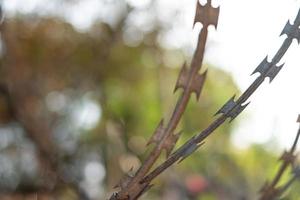 Nahaufnahmezaun mit Stacheldraht vor einem verschwommenen Hintergrund foto