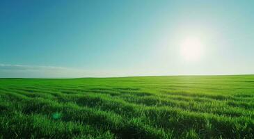 ai generiert ein Grün Feld durch das Sonne foto