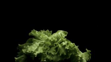 schließen oben von frisch Grün Grüner Salat rotierend isoliert auf schwarz Hintergrund, gesund Essen Konzept. Lager Filmaufnahme. schön frisch Grün Salat bereit zum Essen Vorbereitung. foto