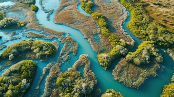 ai generiert generativ ai, Antenne Aussicht von Labyrinth Wasserstraßen, Drohne Foto, schön Landschaft foto