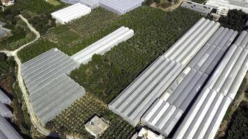 oben Aussicht auf Stadt von Plantage Gewächshäuser. Clip. Bereich von Stadt mit Landwirtschaft auf Anbau von Essen Vegetation in der Nähe von Wohn Bereiche. städtisch Landwirtschaft auf Küste im Sommer- foto