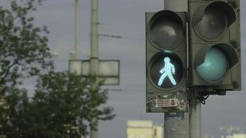 schließen oben städtisch Stadt der Verkehr Licht Ändern zu Grün von rot Signal Autos zu Vorgehen über Überschneidung. Sicherheit zum Treiber und Fußgänger im Zebrastreifen. der Verkehr Licht zum Fußgänger foto