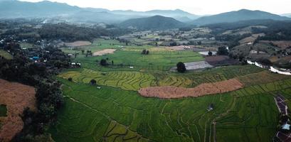 grüne Reisfelder und Landwirtschaft aus der Vogelperspektive foto