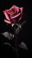 ai generiert ein Single rot Rose ist gezeigt gegen ein schwarz Hintergrund foto