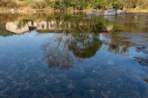 wilde Wälder und fließendes Wasser auf dem Land foto