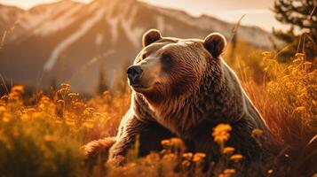 ai generiert majestätisch wild Bär im golden Stunde Wiese foto