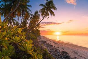 tropisch Strand mit Kokosnuss Palmen mit Sonnenaufgang oder Sonnenuntergang und Meer foto