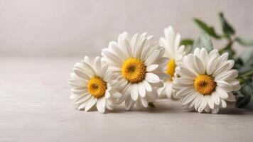 ai generiert Gänseblümchen Blume auf Weiß Hintergrund, Gänseblümchen Blume Kopieren Raum foto