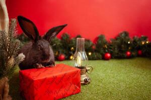 schwarz Hase Symbol 2023 Chinesisch Kalender, Neu Jahr Gruß, Weihnachten Karte, Kopieren Raum zum Text, rot Hintergrund. schön Hase auf Banner, dekoriert Weihnachten Baum. Lampe. foto