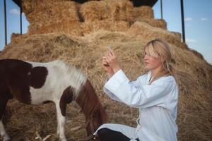 Frau Tierarzt inspiziert Pferd, entdeckt Pony, ein authentisch Atmosphäre. impft. foto