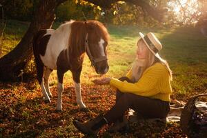 Frau und entdeckt braun Pony beim Sonnenuntergang im Wald, schön Mädchen im Herbst Kleider liebt ihr Pferd, Konzept von Freundlichkeit, Tier Pflege, Natur und Freundschaft foto