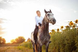 Frau liebt ein Pferd. Liebe und Freundschaft zum das Tier, Pflege foto