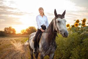 Frau liebt ein Pferd. Liebe und Freundschaft zum das Tier, Pflege foto
