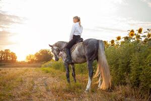 Frau liebt ein Pferd. Liebe und Freundschaft zum das Tier, Pflege foto