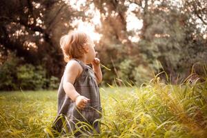 ein Kind im das Wald gegen ein Hintergrund von Bäume und Gras. ein ein Jahr alt Mädchen ist studieren Natur. sonnig Sonnenuntergang, ein Kind im ein grau Kleid foto