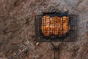 mariniert Schweinefleisch auf ein Grill im das Wald. Fleisch ist gebraten auf Kohlen, Feuer, auf das Fluss Bank. Grill auf das Kampagne Pfad. Fleisch ist gekocht auf Holzkohle von Geäst foto