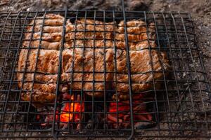 mariniert Schweinefleisch auf ein Grill im das Wald. Fleisch ist gebraten auf Kohlen, Feuer, auf das Fluss Bank. Grill auf das Kampagne Pfad. Fleisch ist gekocht auf Holzkohle von Geäst foto