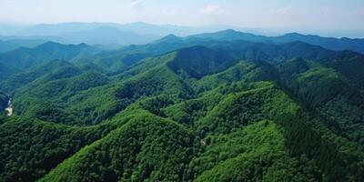 ai generiert ein Panorama Antenne Bild von Berge von Grün Wälder, umweltfreundlich Handwerkskunst foto