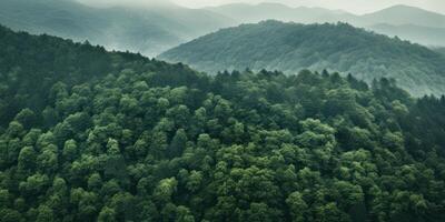 ai generiert ein groß Grün Wald auf das Seite von ein Berg foto