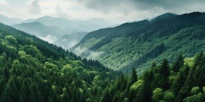 ai generiert ein groß Grün Wald auf das Seite von ein Berg foto