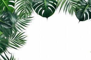 ai generiert Foto Grün tropisch Palme Blätter Monstera auf Weiß Hintergrund generativ ai