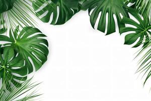 ai generiert Foto Grün tropisch Palme Blätter Monstera auf Weiß Hintergrund generativ ai