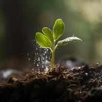 ai generiert Neu Leben taucht auf im nass Frühling Jahreszeit generativ ai foto