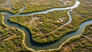 ai generiert generativ ai, Antenne Aussicht von Labyrinth Wasserstraßen, Drohne Foto, schön Landschaft foto