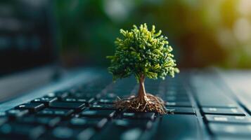 ai generiert generativ ai, Pflanze wachsend von das Laptop Klaviatur. Ökologie und Umgebung Konzept foto