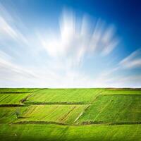 grünes Feld und Himmel foto