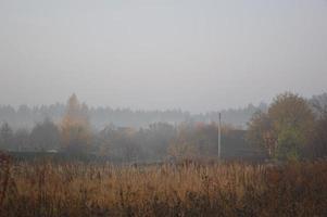 Morgennebel und Dunst in Wald und Dorf foto