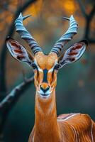 ai generiert Antilope Porträt im Natur foto