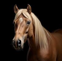 ai generiert dunkel Hintergrund mit ein blond Pferd foto